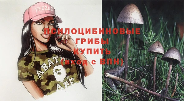 наркотики Белокуриха