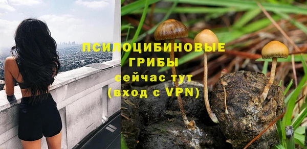 наркотики Белокуриха