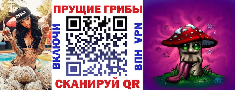 Купить где  Белоярский  Галлюциногенные грибы Cubensis 